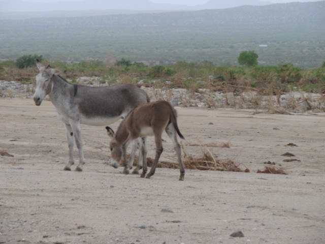 DSC00573a