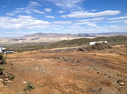 IMG_1542