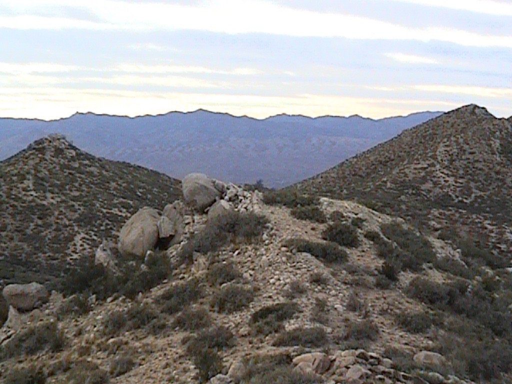 PM View 2006D